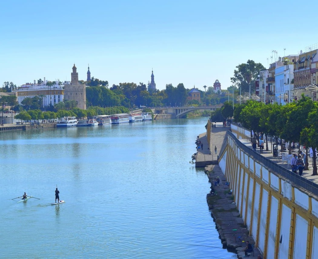 C. Betis