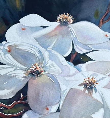 A Range of Values in Watercolor with Ruth Miller 1