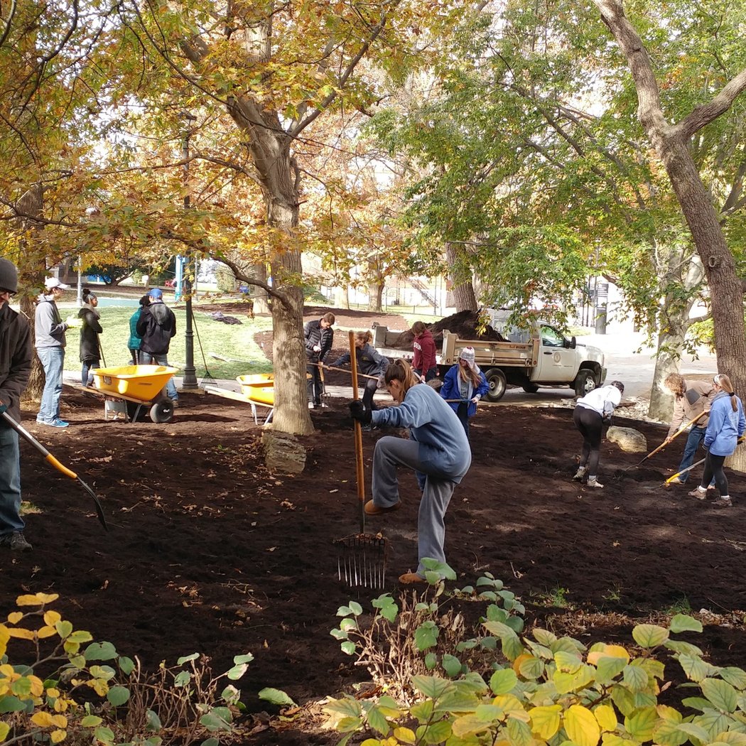 Urban Forest Support Initiative 2