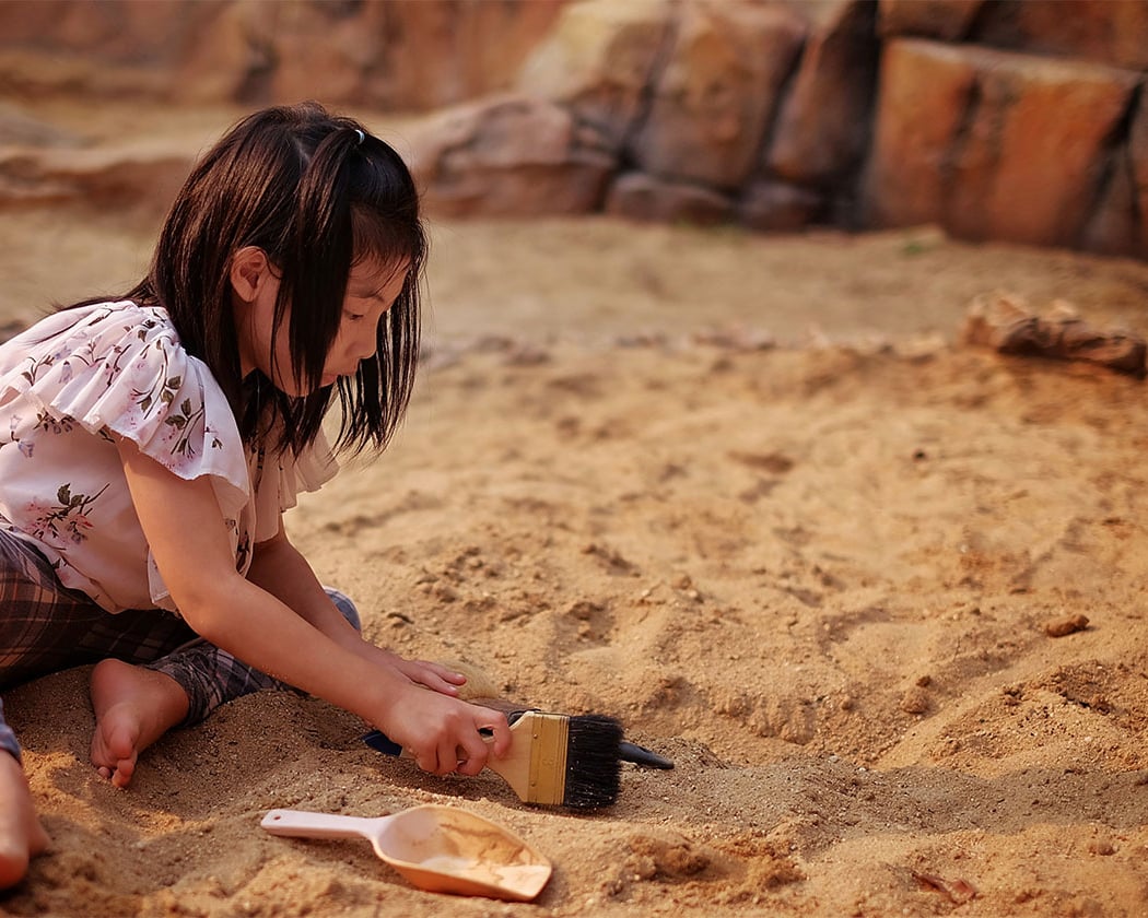 Super Science Saturday: Fantastic Fossils 1