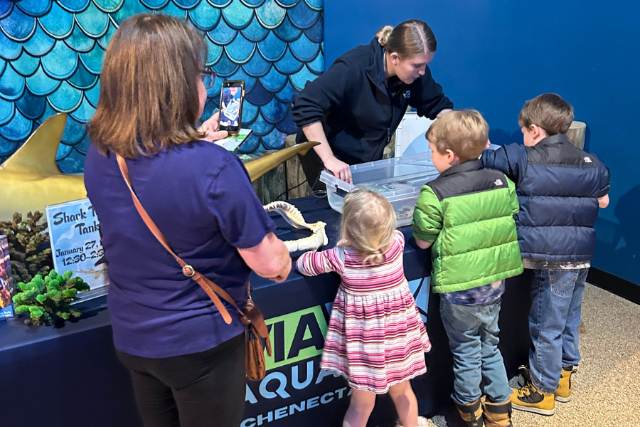 VIA Aquarium 3