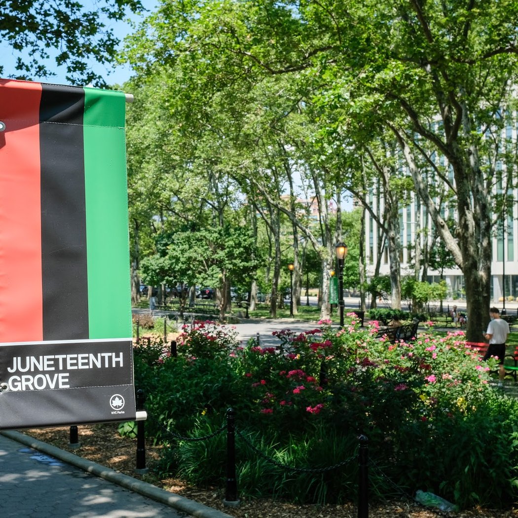 Juneteenth Grove 3