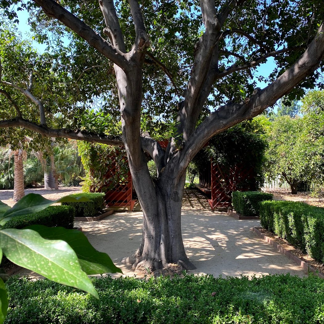 Haunted Garden 1