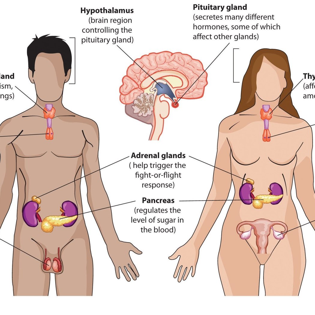 Endocrine & Diabetes Care 2