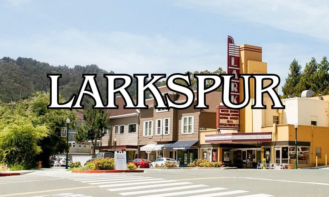 Larkspur 1