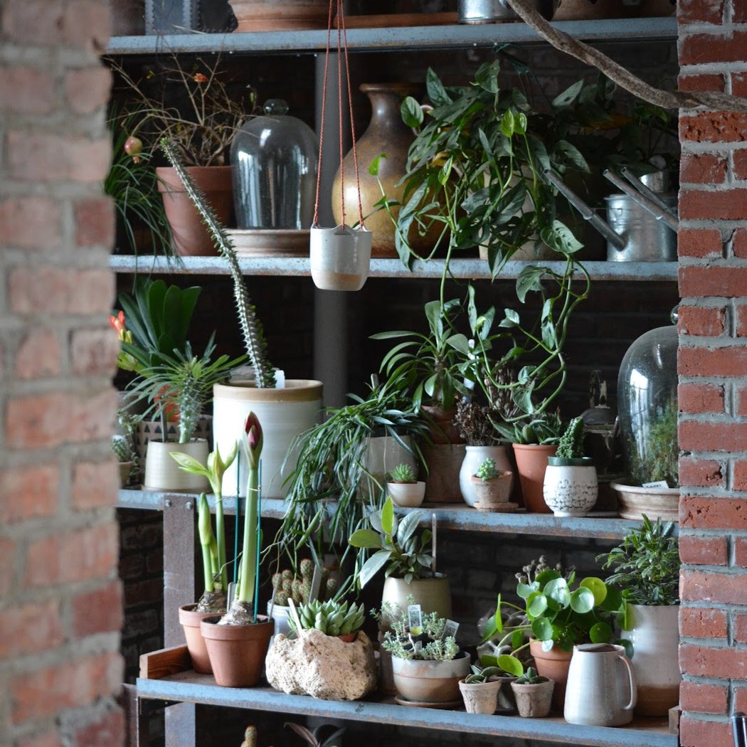 Gowanus Nursery 1