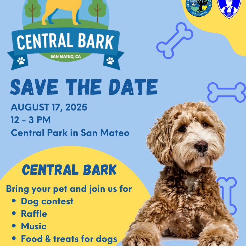Central Bark 3