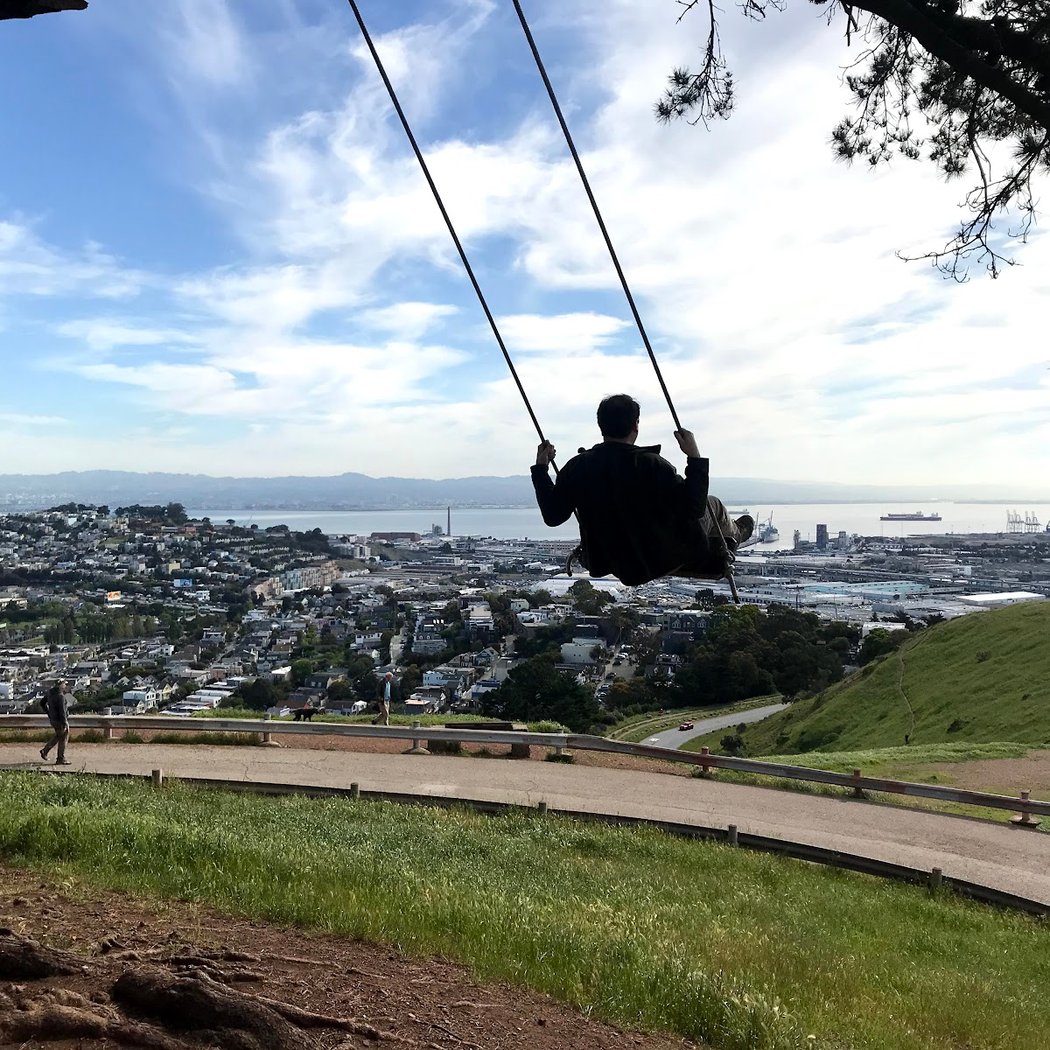 Tree Swing 1