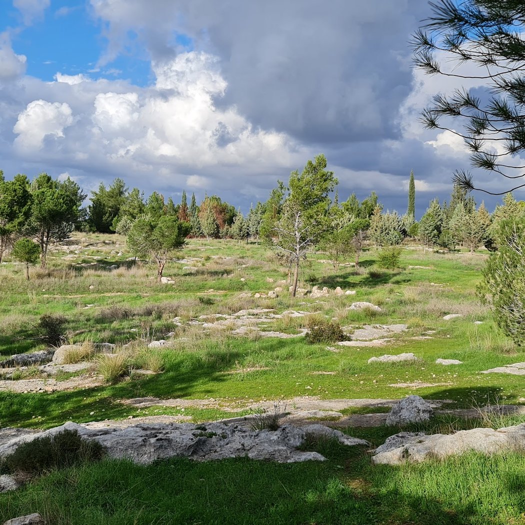 Shoham Forest Park 3