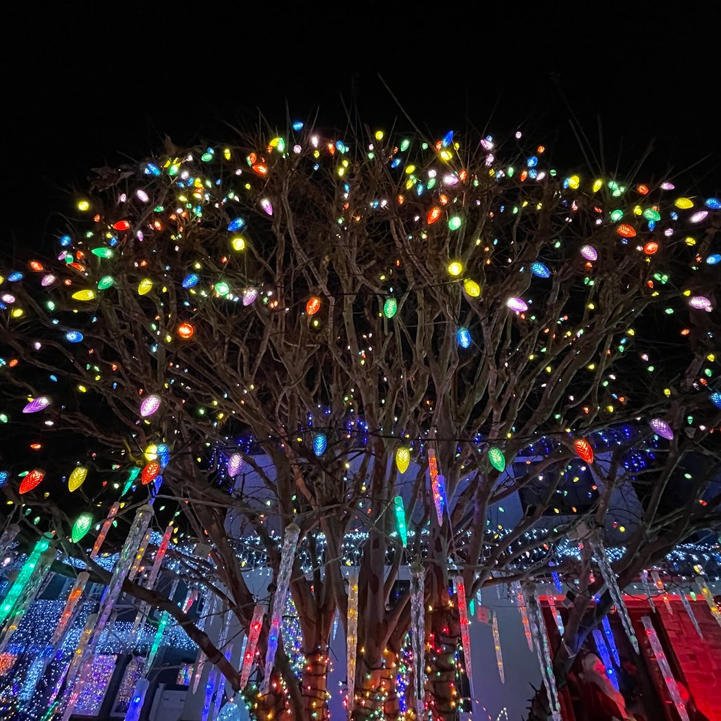 SC Christmas Tree Lane 3