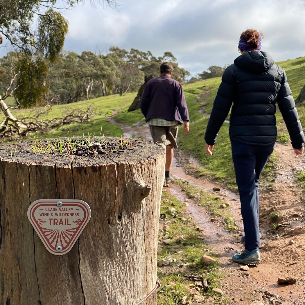 Clare Valley Wine and Wilderness Trail 3