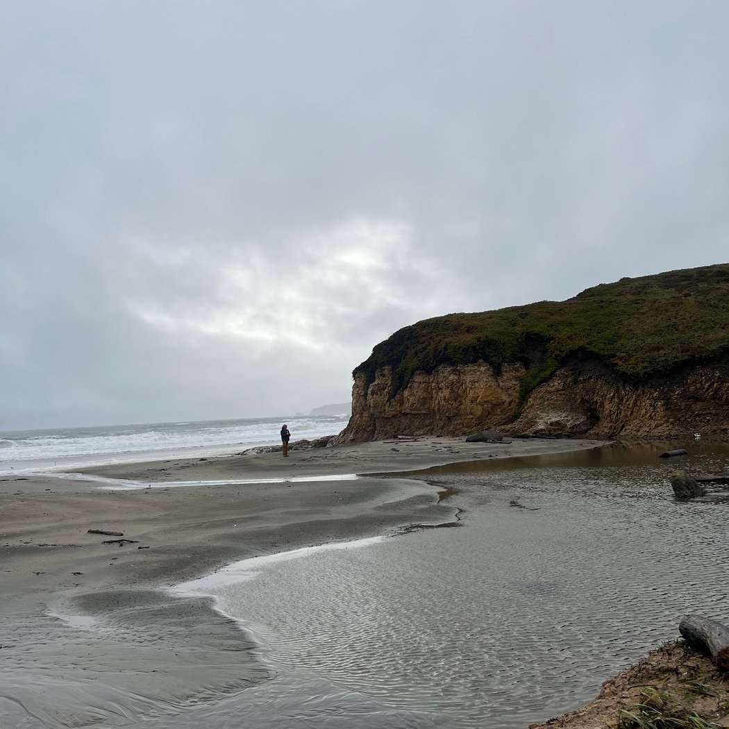 Visit Elephant Seals Drakes Beach 3