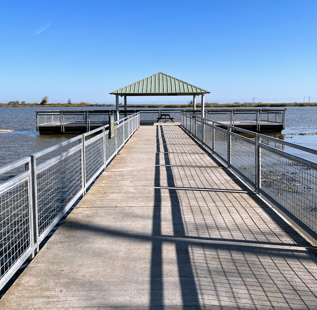 Wonders of the Wetland 2025 1