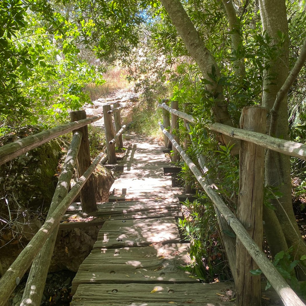 Azalea Hill Trail 1