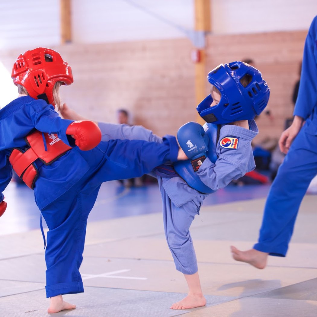 Vovinam Rosny 1