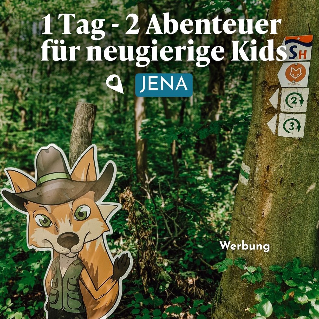 WaldPfad Schlauer Ux 1