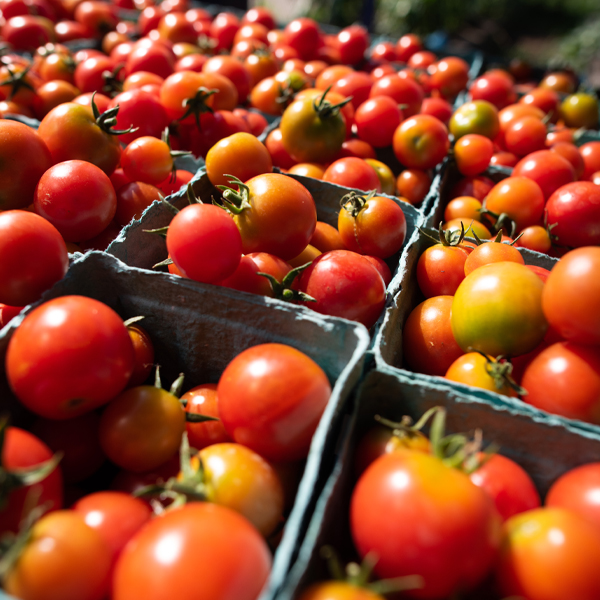 Heirloom Fest: Tomatoes & More 1