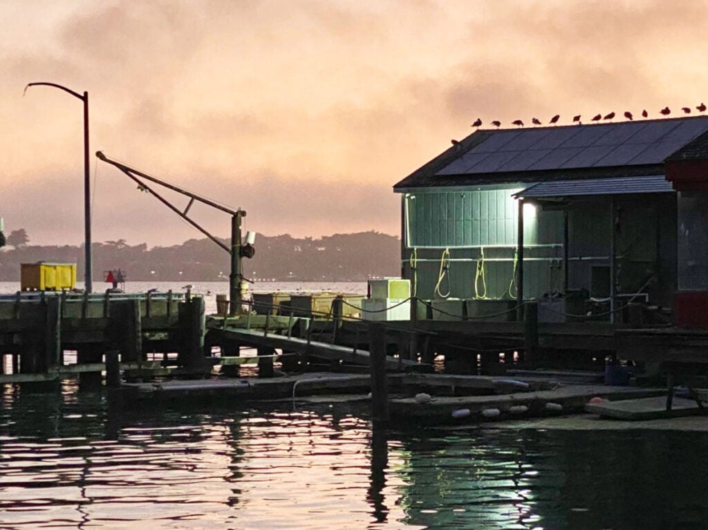 Bodega Bay 2