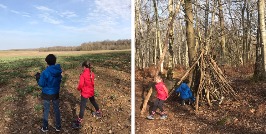 Bois de la Tour du Lay 1