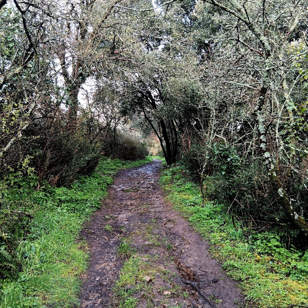 Port Launay 1