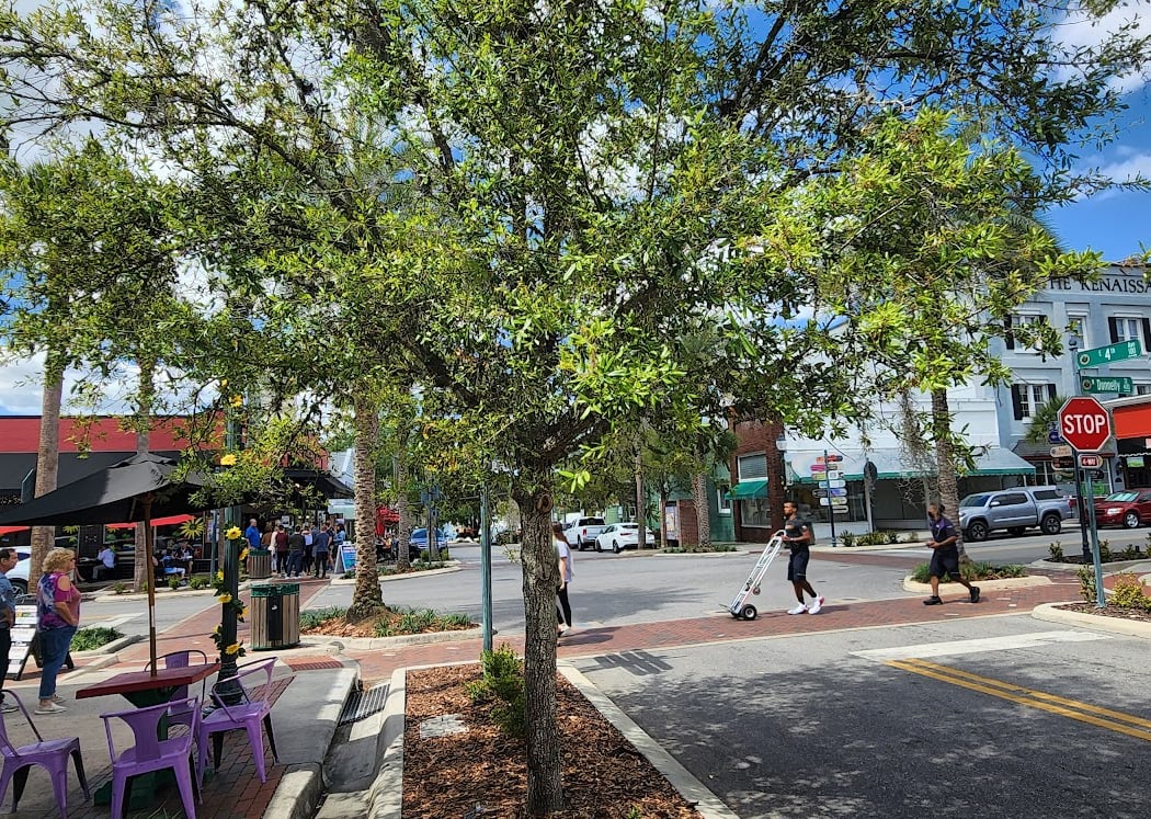 Mount Dora 2