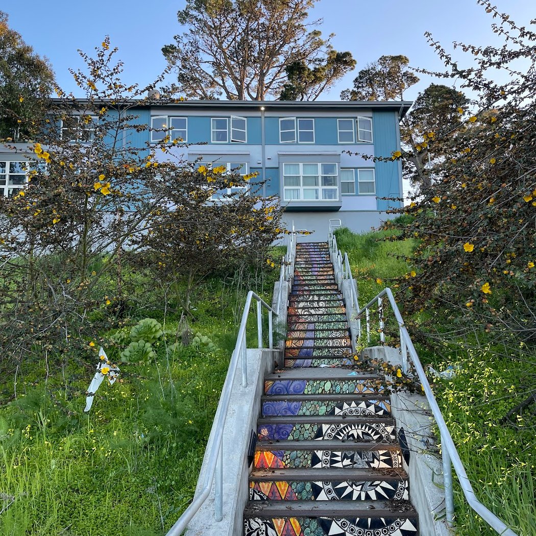 Flights of Fancy Mosaic Steps 1