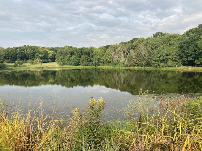 George Owens Nature Park 1