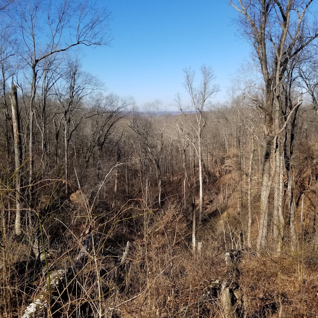 Peewah Trailhead 2