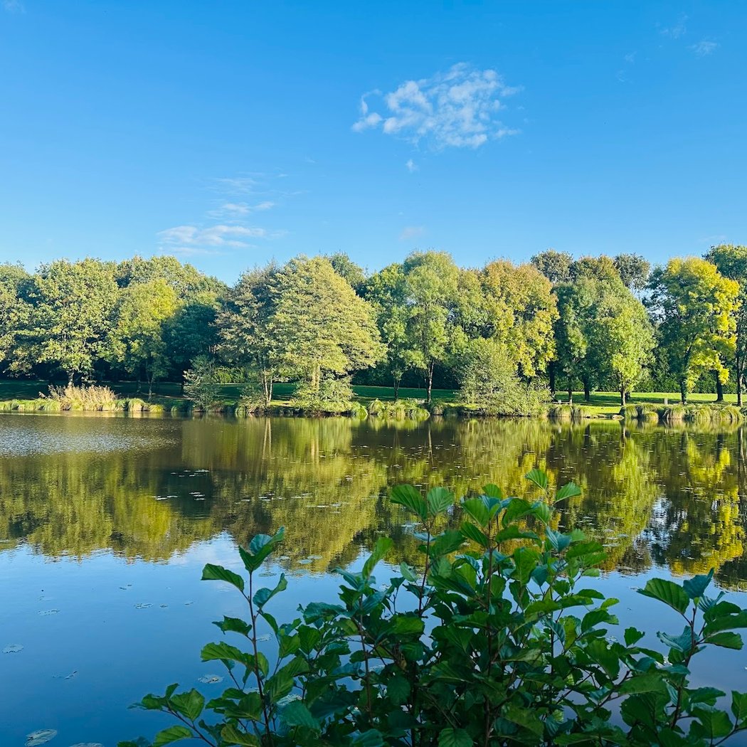 Etang de la Roche 1