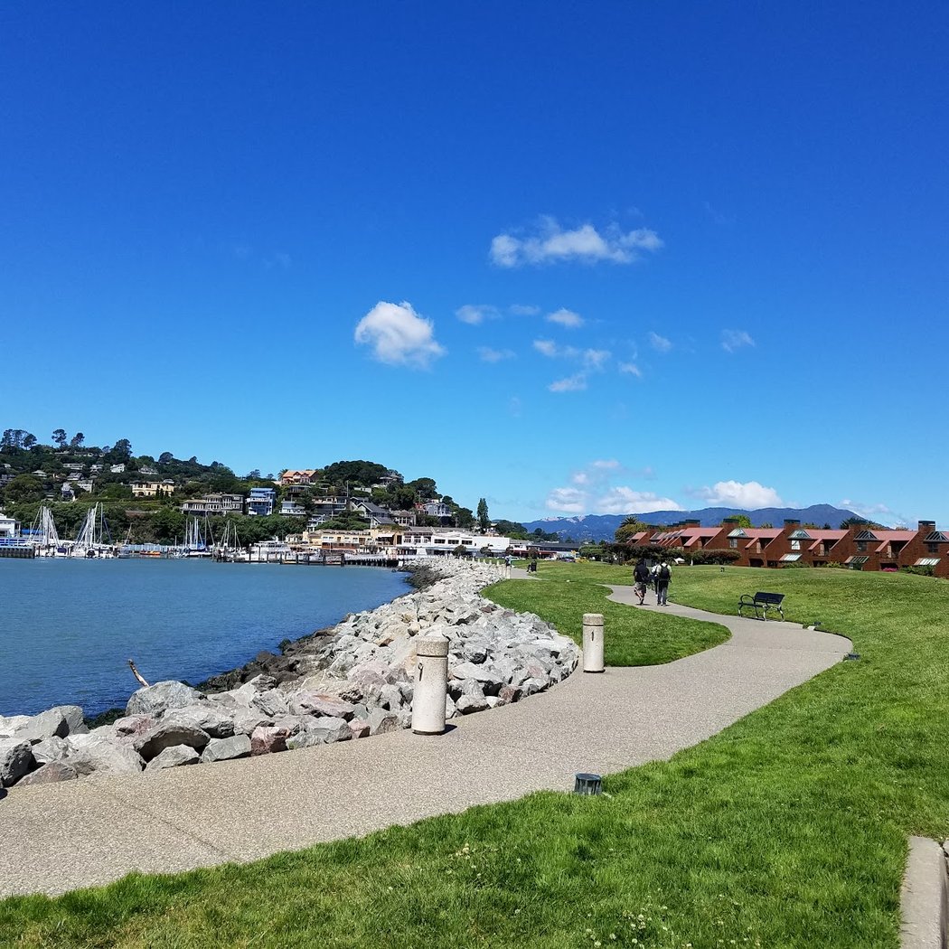 Shoreline Park 3