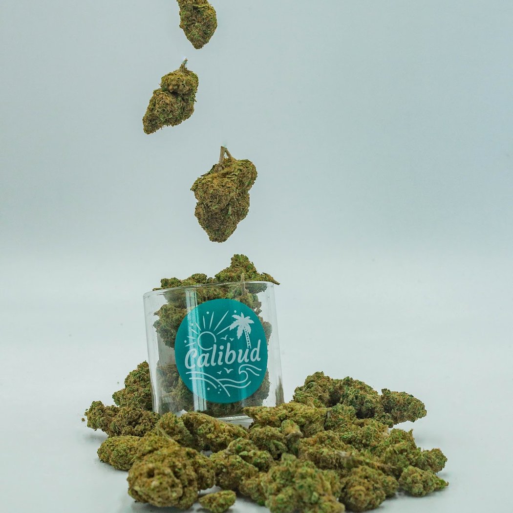 CALIBUD CBD ST VICTOR 1