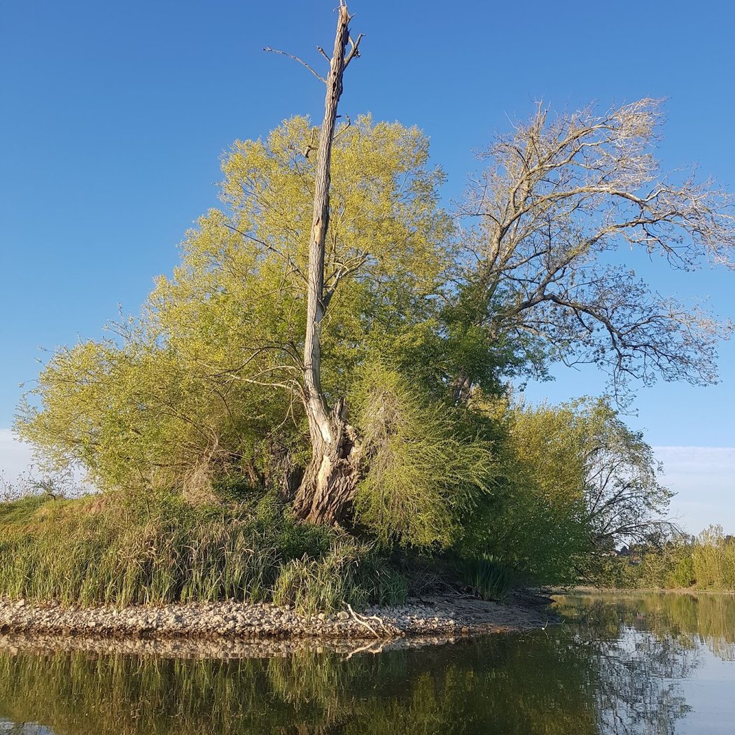 Lac des Trois Provinces 3