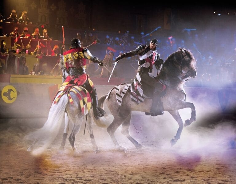 Medieval Times Dinner & Tournament 3