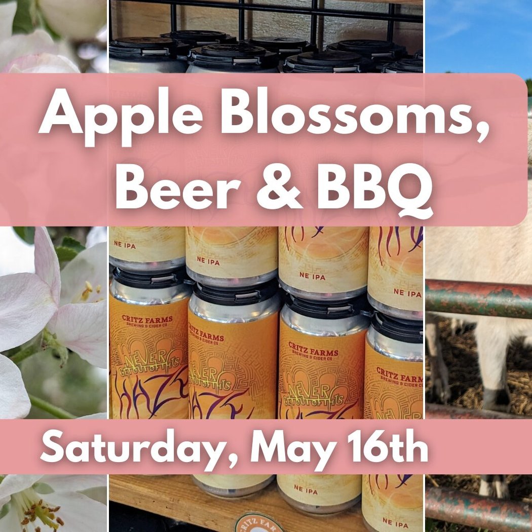 Apple Blossoms, Beer & BBQ 1