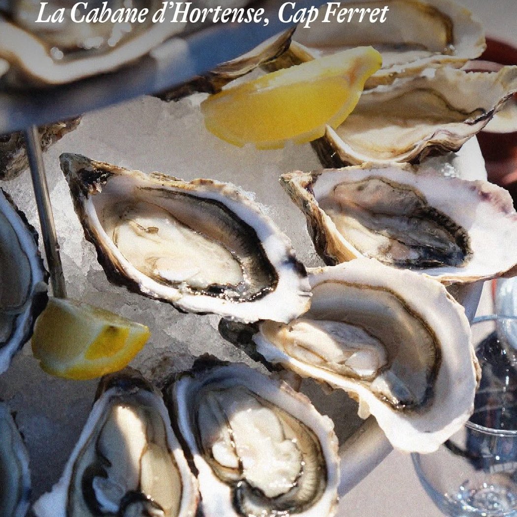 La Cabane d'Hortense - Les Youkas 1