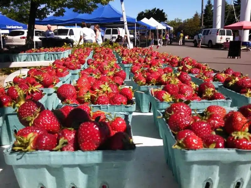 Market in the Valley 4