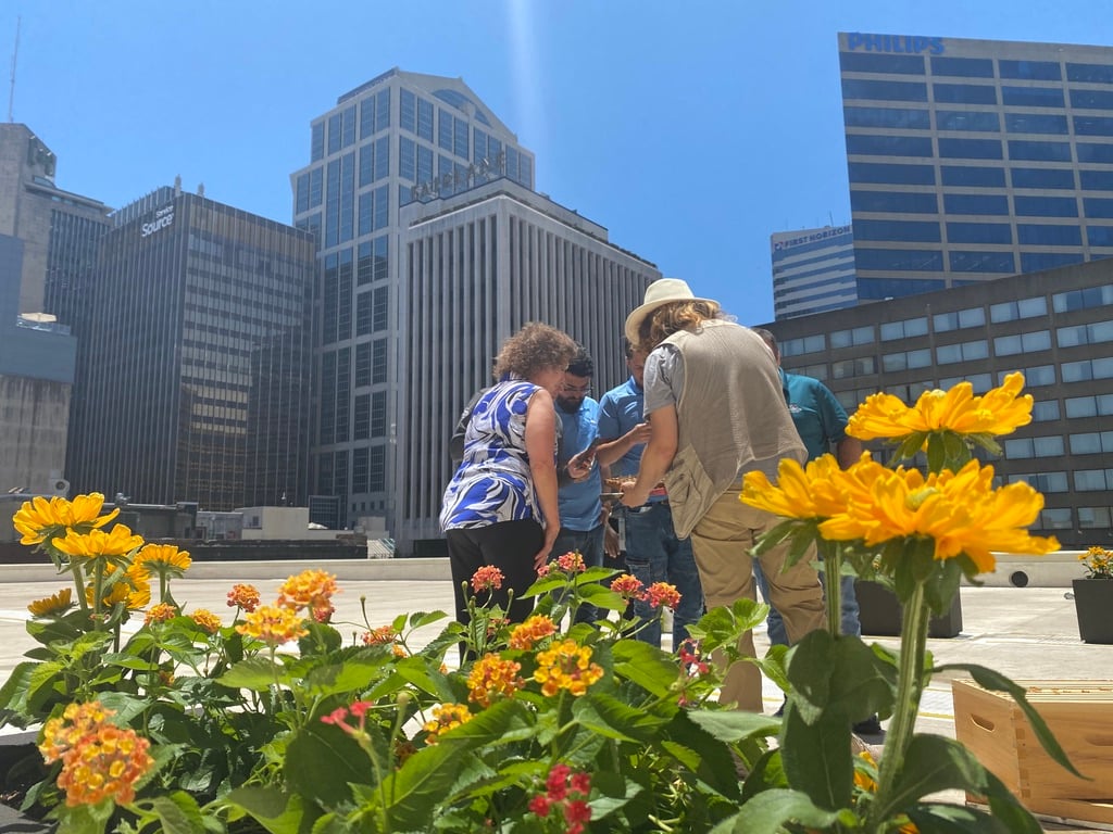 Alvéole | Urban beekeeping & biodiversity for commercial properties 3