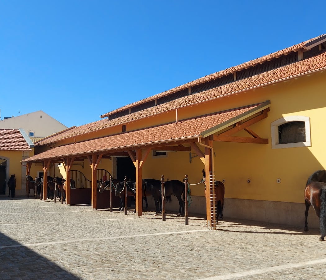 Manhãs da Arte Equestre 3