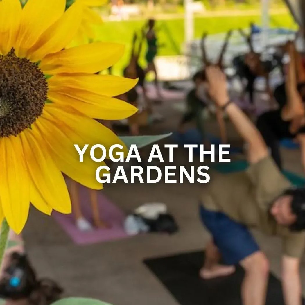 Sunrise Vinyasa Yoga at the Gardens 2
