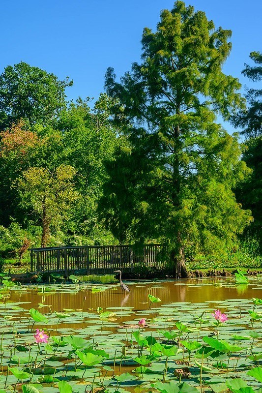 Kenilworth Park & Aquatic Gardens 1