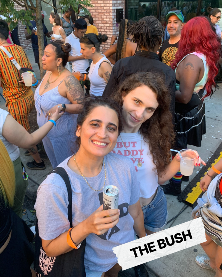 The Bush 4
