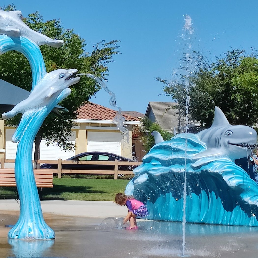Dolphin Park 1
