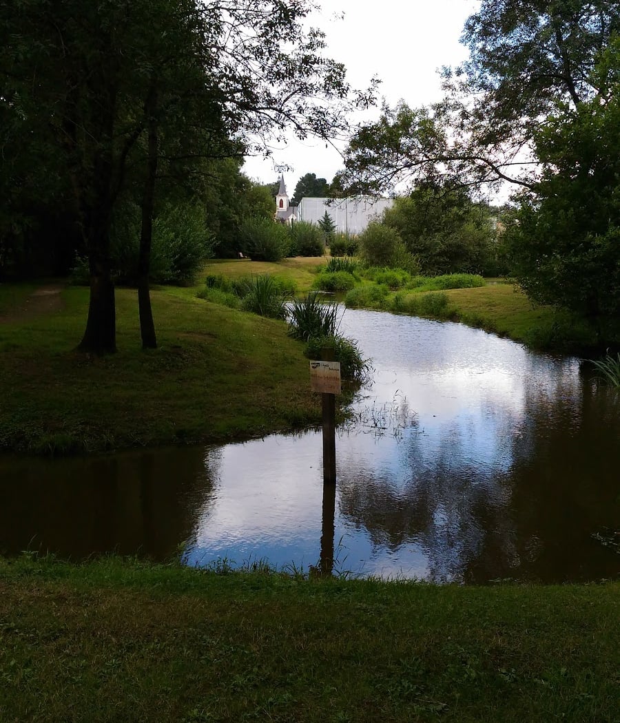 Complexe Sportif de la rive 2