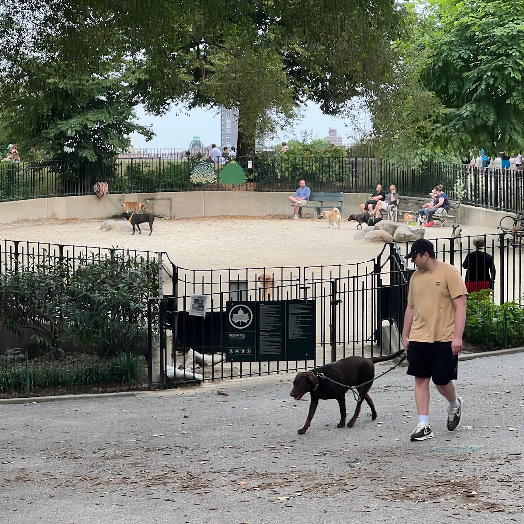 Carl Schurz Park Dog Runs 1