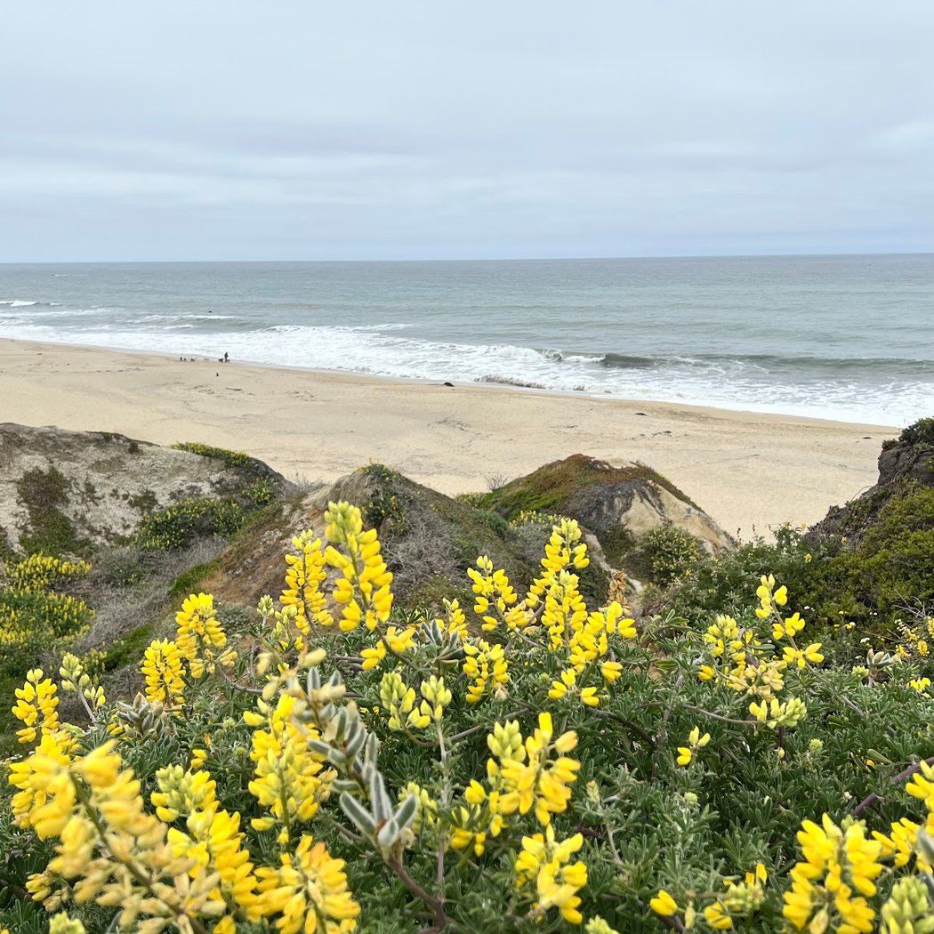 Half Moon Bay Coastal Trail 1
