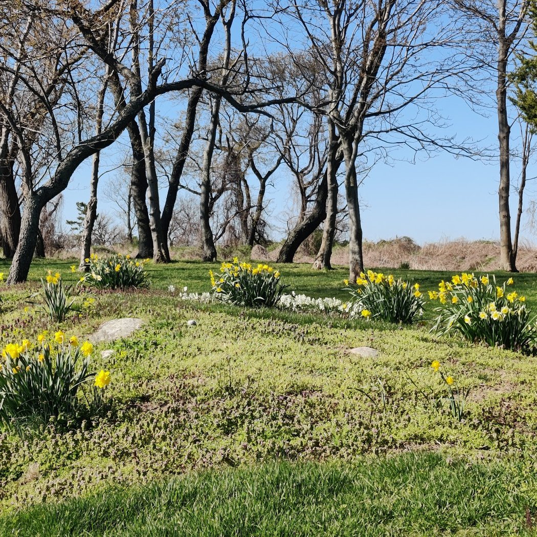 Greenwich Point Park 3
