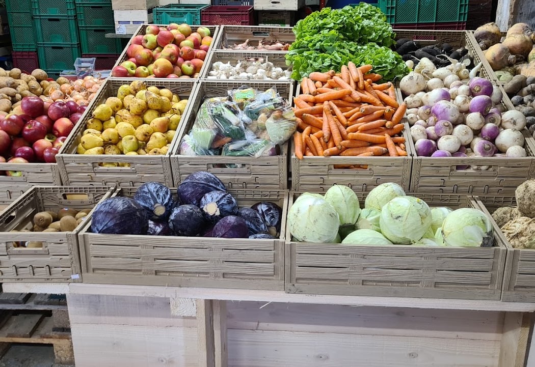 Ferme de la Ganzau Producteur maraîcher Bio 1