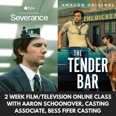 2 Week Film/Television Online Class with Aaron Schoonover 1