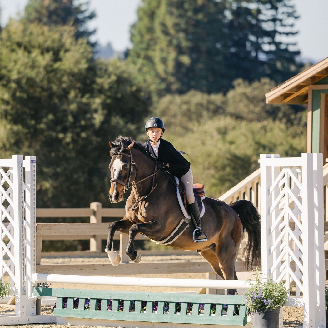 Woodside Show Series 1
