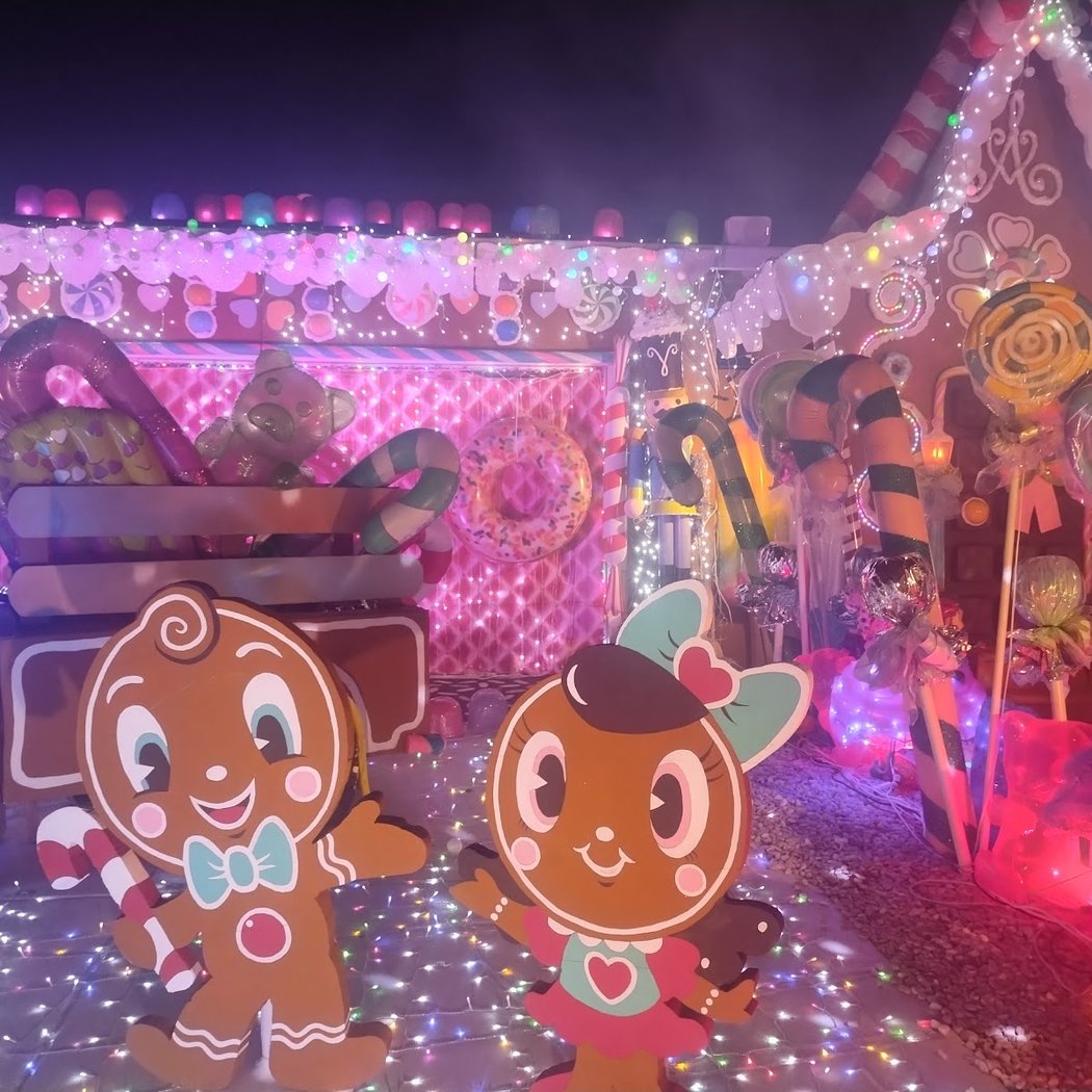 VnA's Gingy House 1